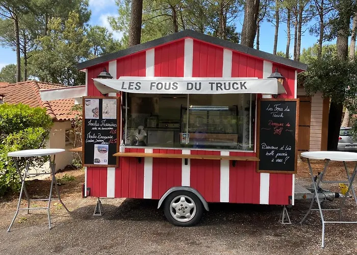 Un Nid Dans La Pinede