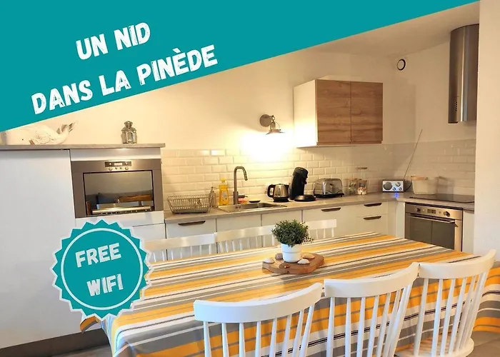 Un Nid Dans La Pinede