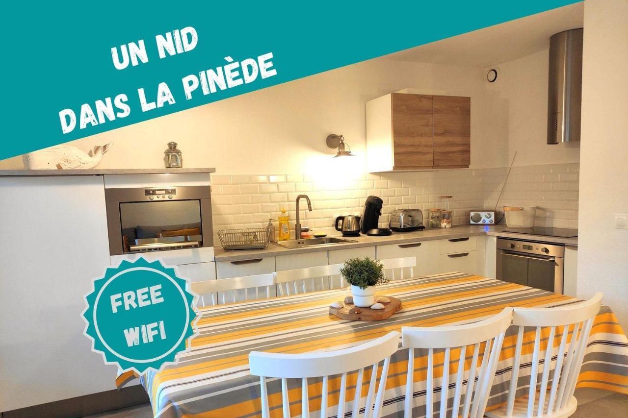 Un Nid Dans La Pinede