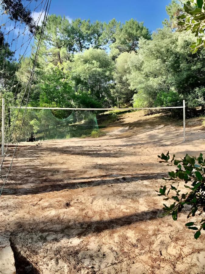 Holiday home Un Nid Dans La Pinede